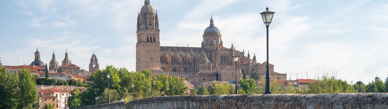 foto-castillaleon-grande.png Weber ES