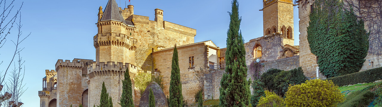 navarra-grande.jpg Weber ES