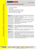 FTC-ES-P-webercolor-junta-ancha.pdf