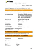 FSG-ES-P-arlita-dur-light-plus-l-m-s-hs-xs-m-f-solar.pdf