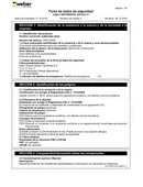 FSG-ES-P-weberneto_clean.pdf