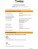 FSG-ES-P-webercal-liso.pdf