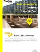 Bases-llanaOro-2021