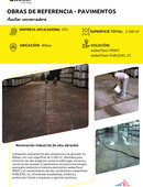 Auxiliar conservadora 