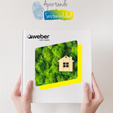 Weber ES