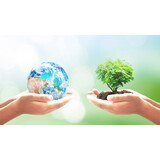 Dos manos sosteniendo un árbol y una bola del mundo Dos manos sosteniendo un árbol y una bola del mundo