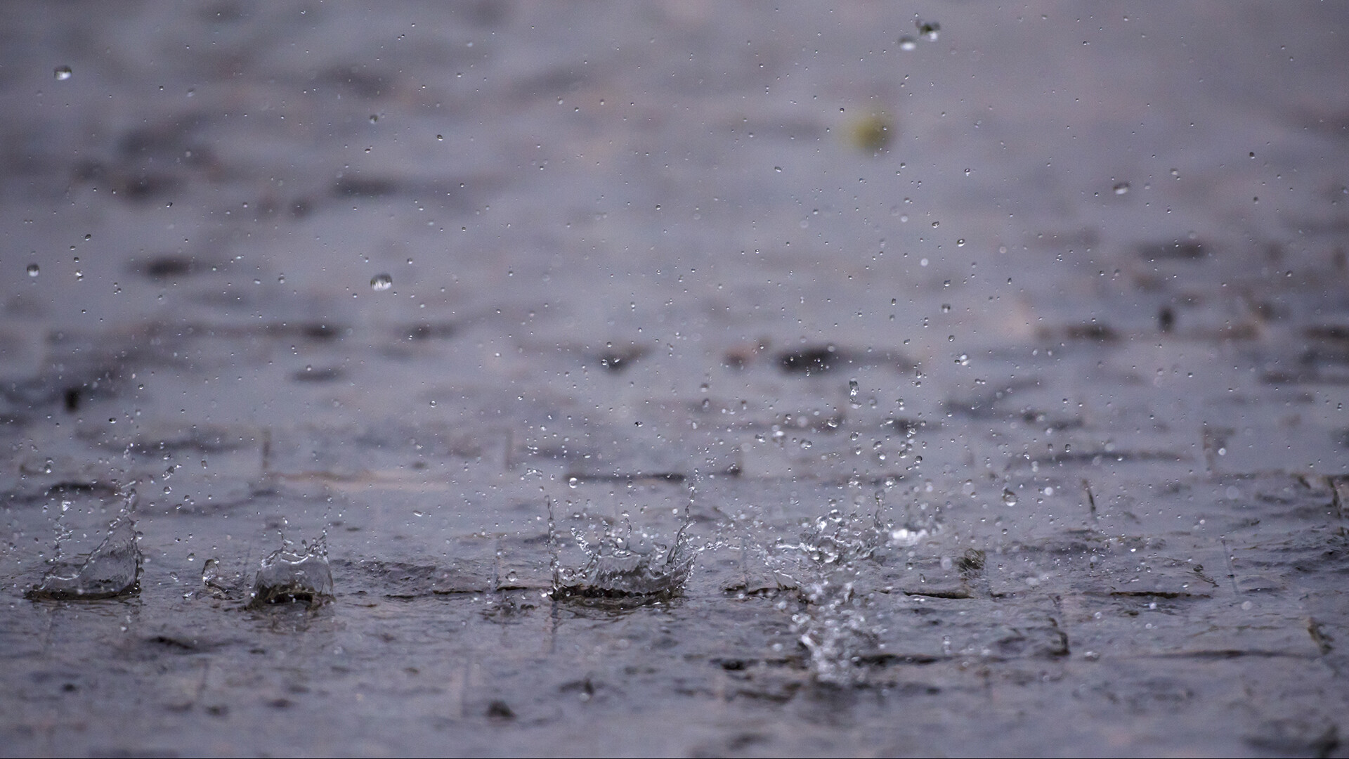 Suelo mojado con agua de lluvia cayendo Suelo mojado con agua de lluvia cayendo