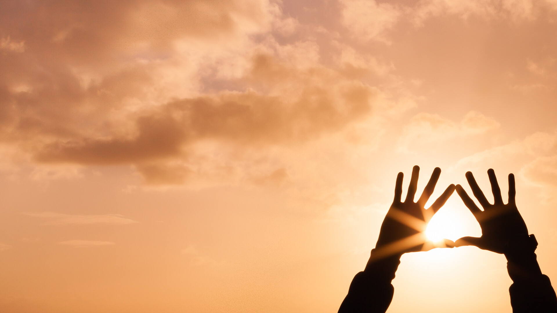 manos orientadas a la luz del sol manos orientadas a la luz del sol
