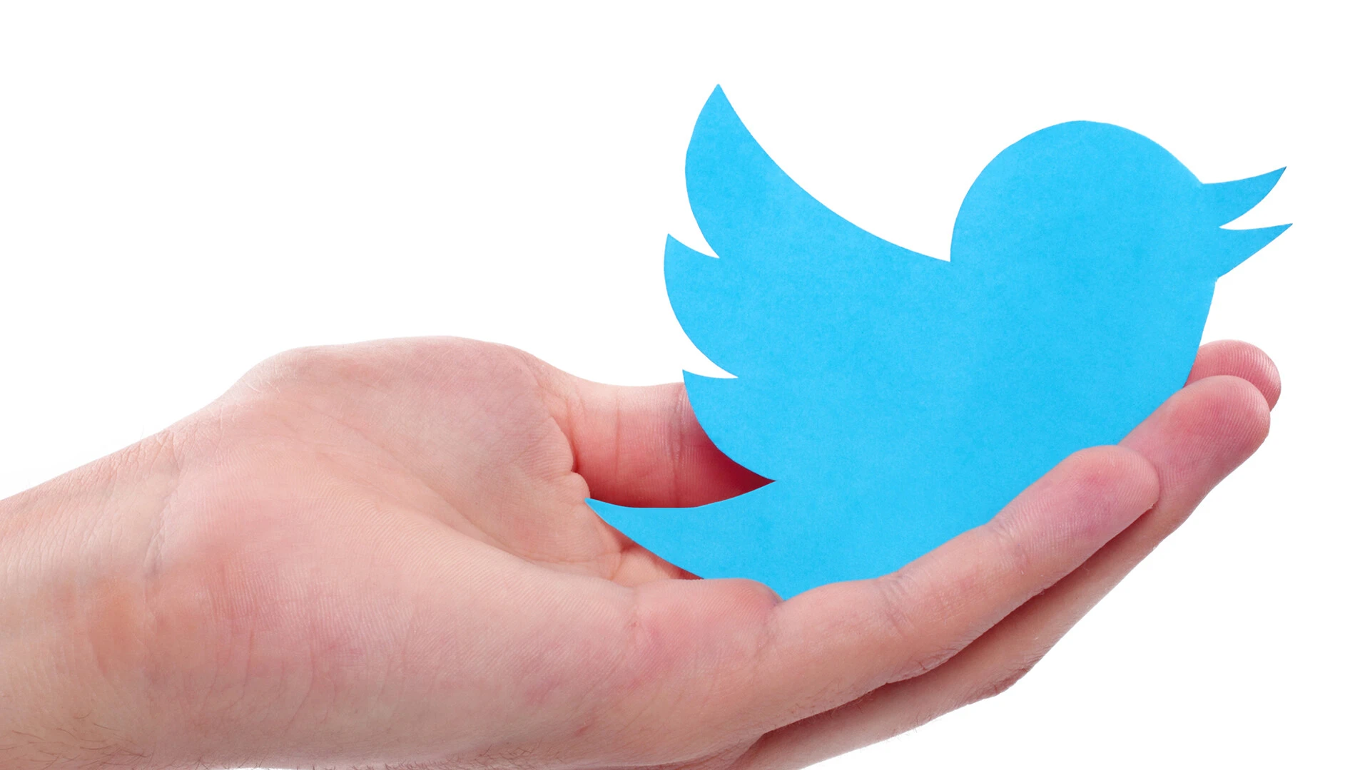 Pájaro de twitter en la mano