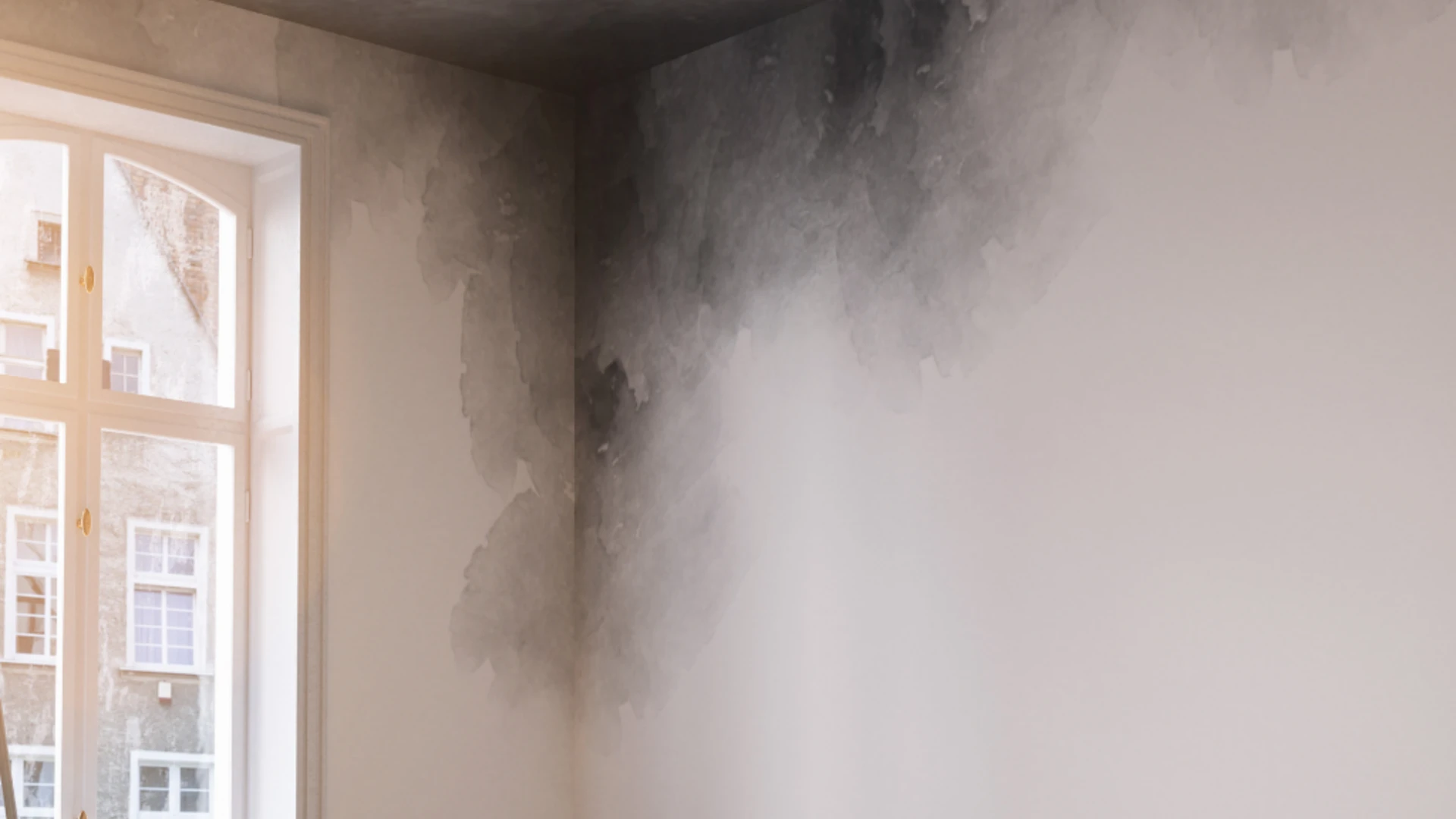 sate evita humedades