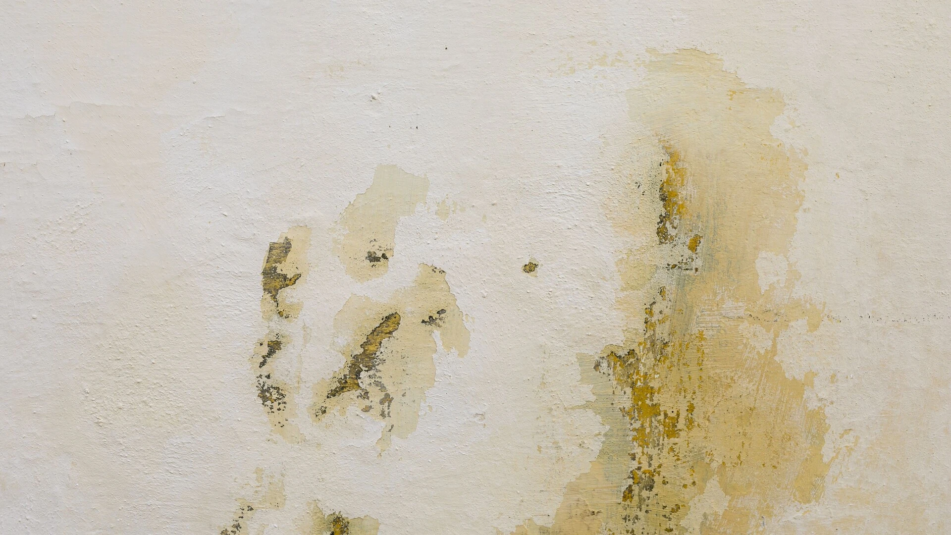 Humedades por filtración fachada