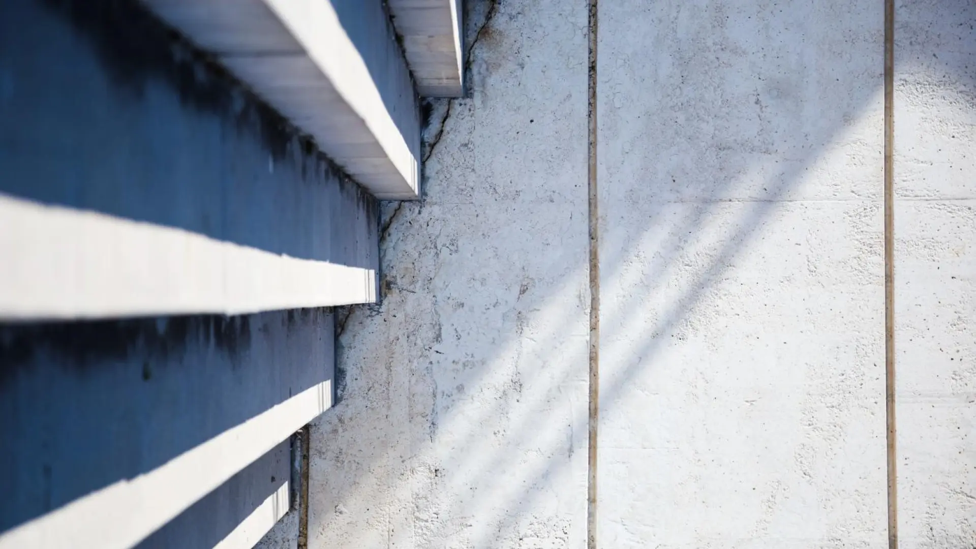 Con qué se puede revestir una pared con humedad Con que se puede revestir una pared con humedad