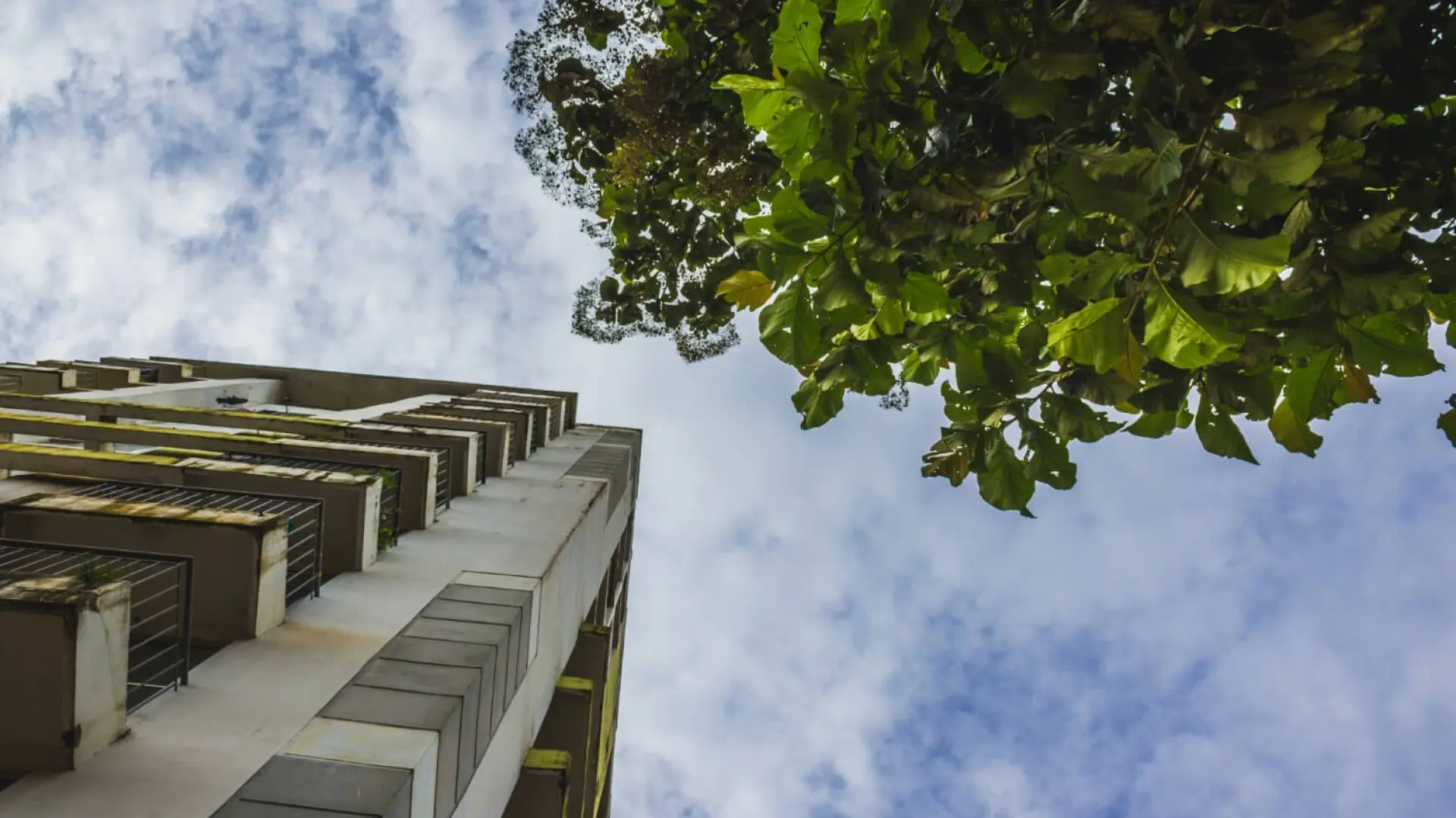 Sostenibilidad en la construcción sostenibilidad en la construccion