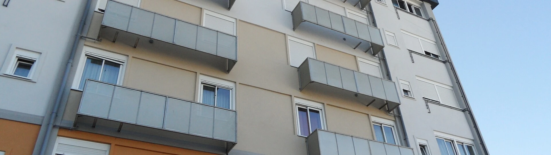 SAM_9865 (1).jpg Weber ES