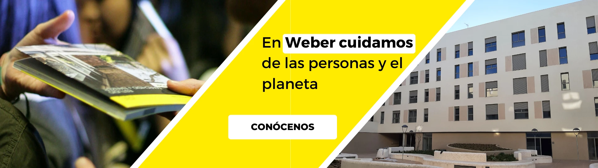 Weber ES