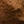 Ocre