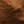 Ocre
