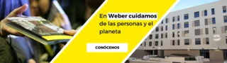 Weber ES