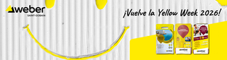 Weber ES