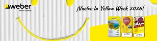 Weber ES