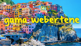 Weber ES
