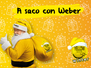 A saco con Weber.png Weber ES