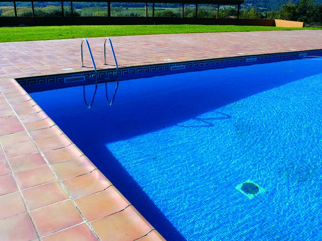 Piscina con gresite azul y jardín al fondo