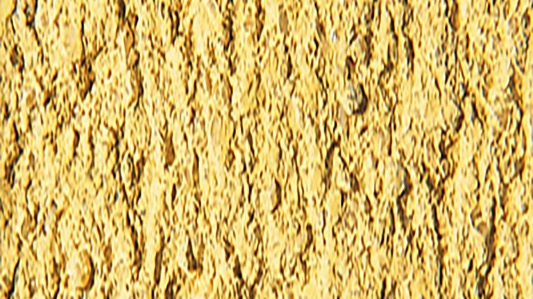 Carta de colores de webercal revoco