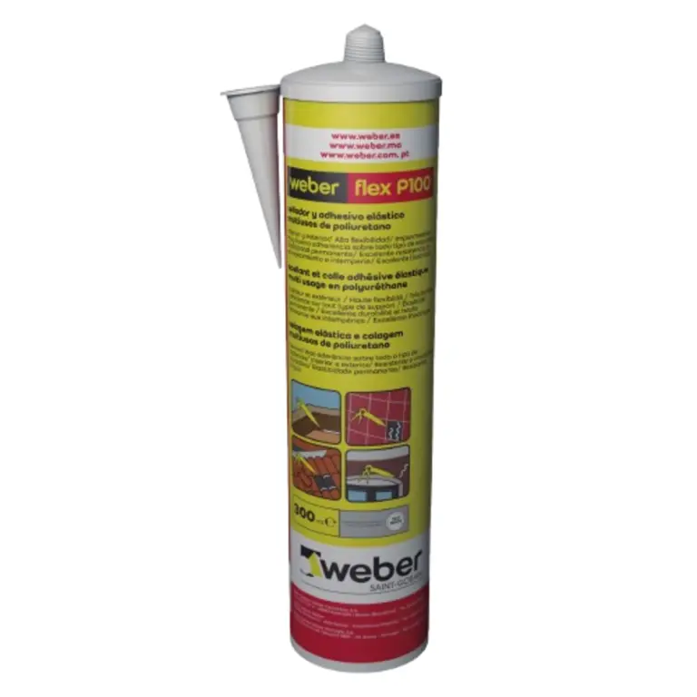 Weber ES