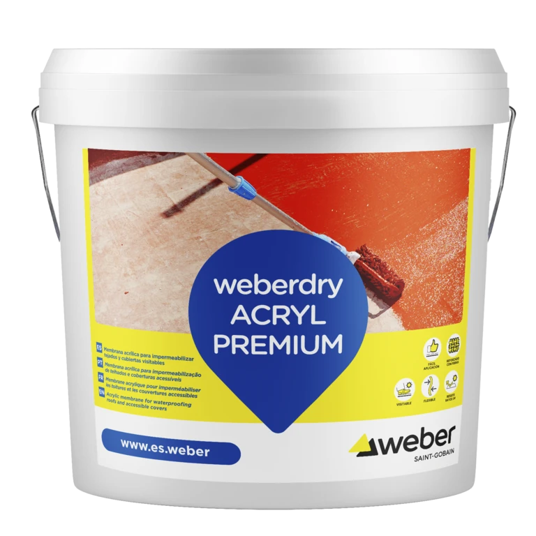 Weber ES